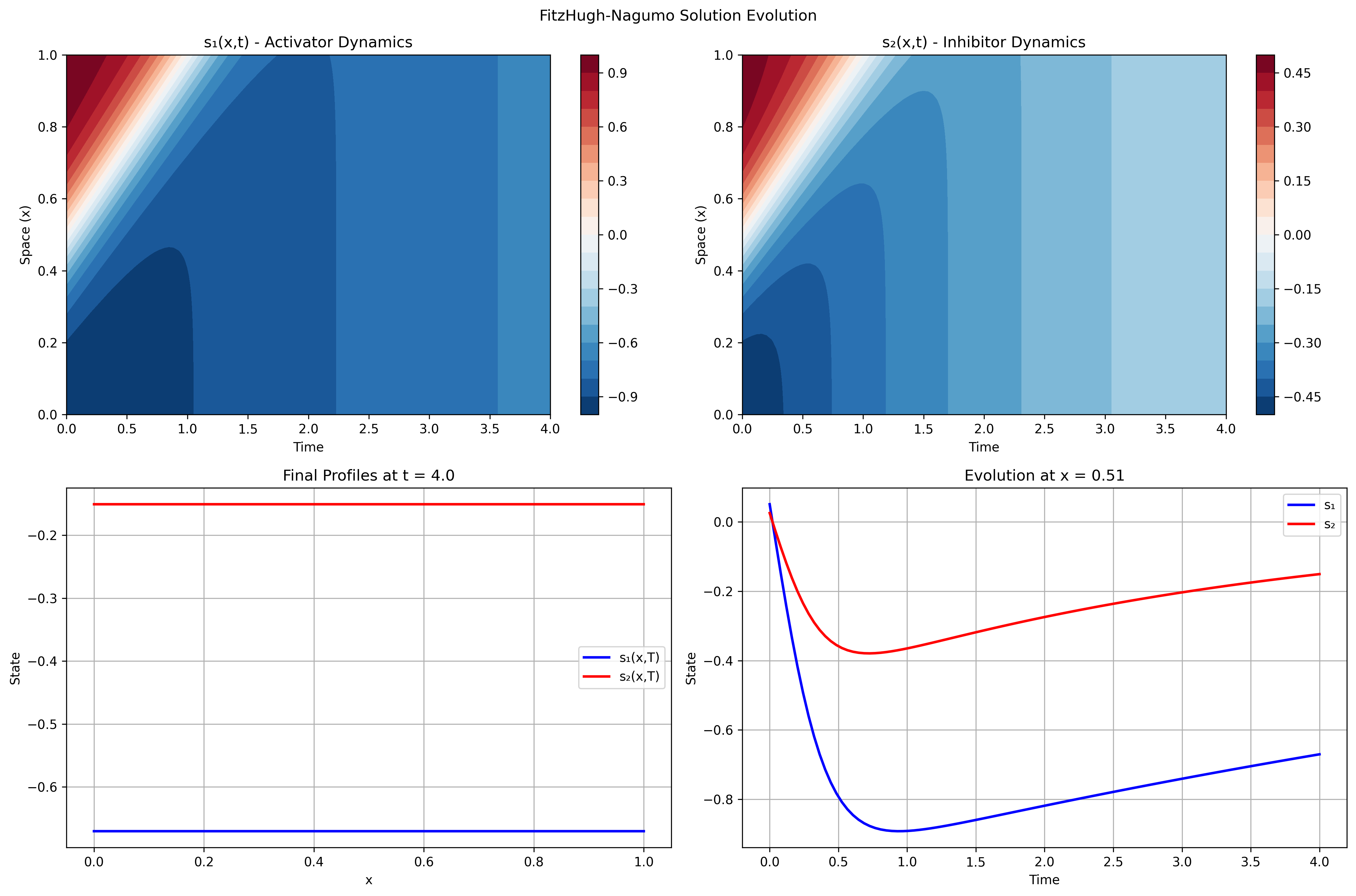 FitzHugh-Nagumo Solution Evolution